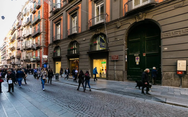 Palazzo Berio - Bh 120