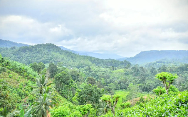 Rainforest Nature House