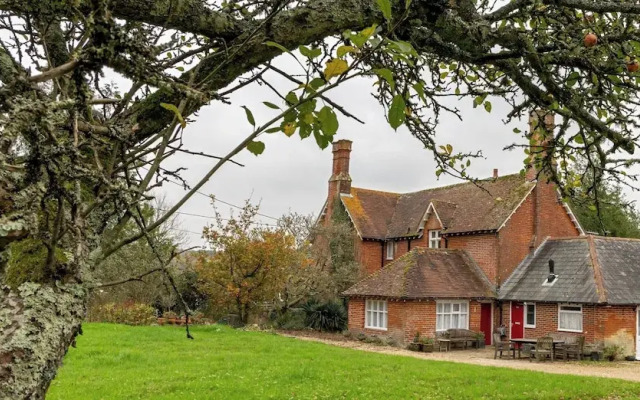 Tranquil Forest Retreat in Brockenhurst