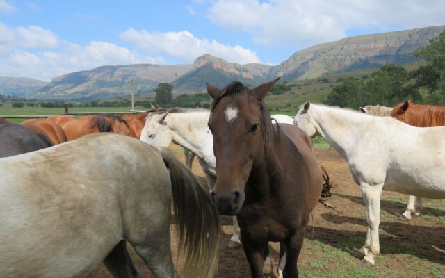 Verlorenkloof Estate