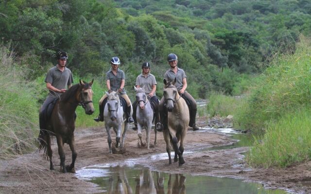 Pakamisa Private Game Reserve