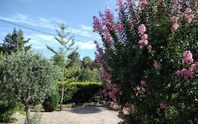 la Mésange Bleue du VERDON