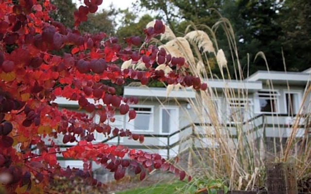 The Arran Lodge & Arran Sleep Huts