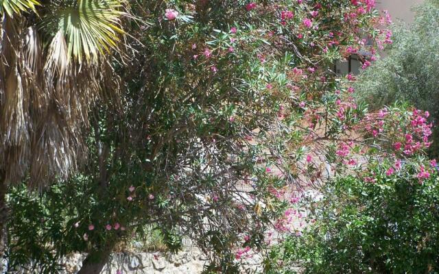 Lauriers Roses
