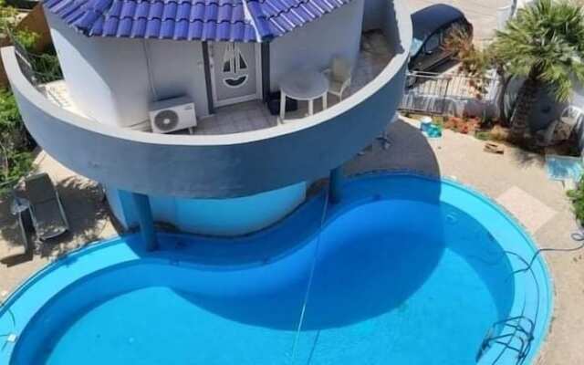 Rodi blue