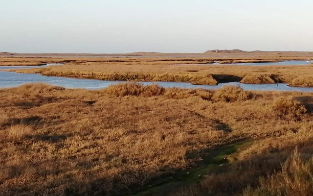 Dale View - UK13206