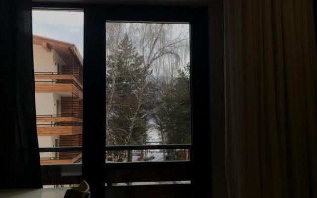 Apartamenti Bakuriani INN