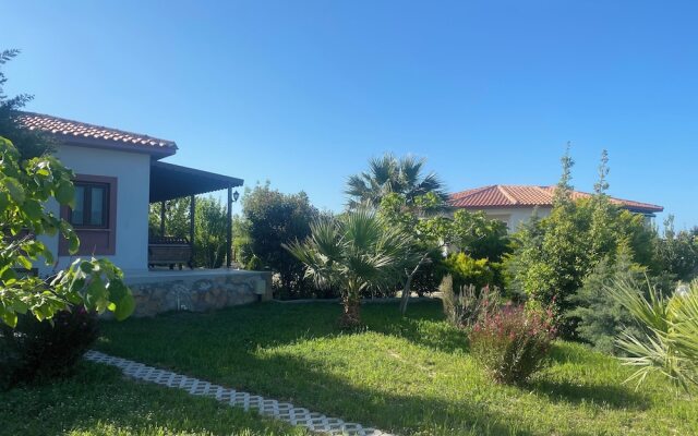 Karina Vineyard House