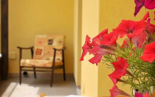 B&B Supersanosalento