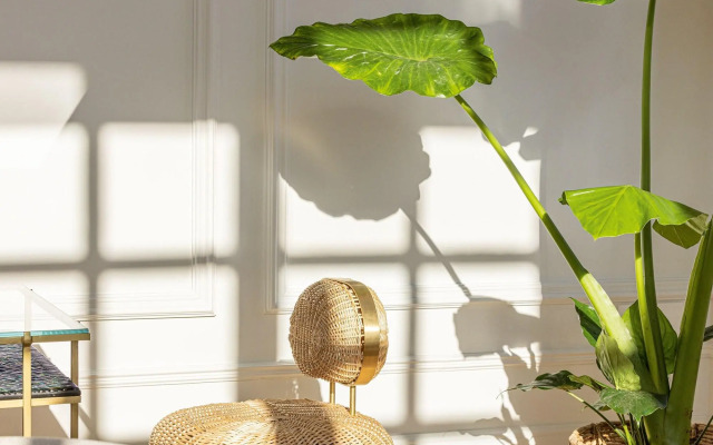 The Dolli at Acropolis, A Hotel to Live