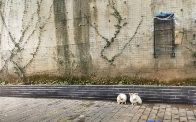 Yichun Xiyuan Linshe Homestay