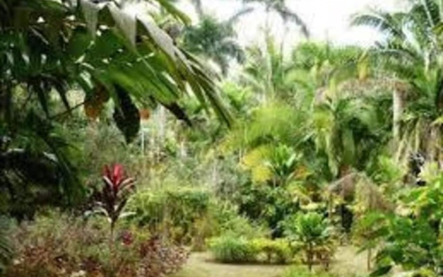 Bamboo Breeze Inn