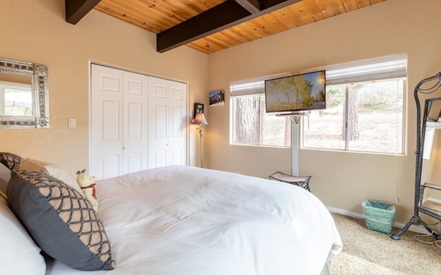 Living THE Dream #1807