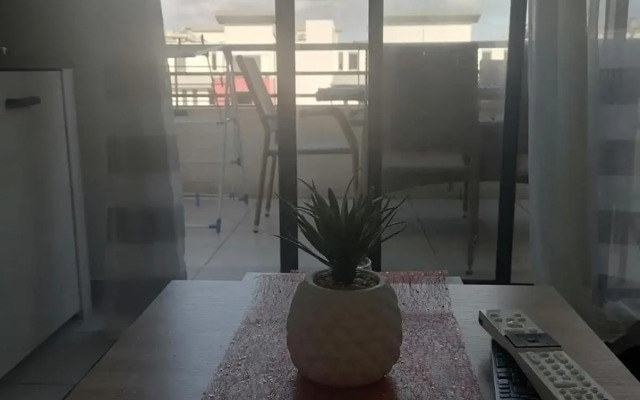 Superbe studio en bord de mer