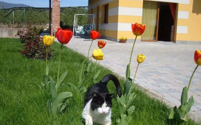 Agriturismo Fior Di Campo