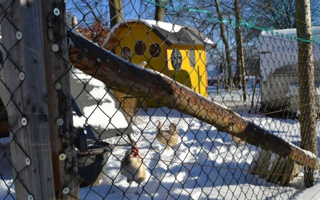 Ferien Bei Freunden Im Holzhaus