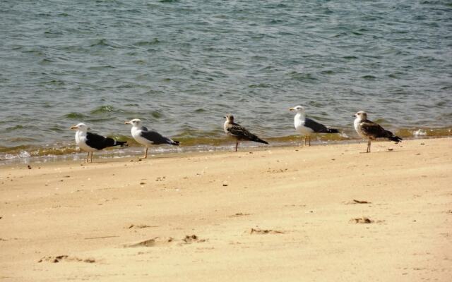 Alagoa Azul Apartments