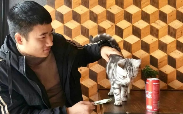 Jaidee Cafe & Hostel Chiangrai