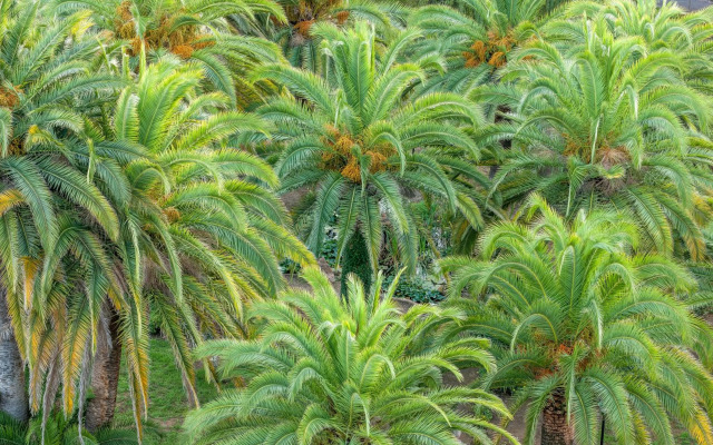 Campo Dell'Oro