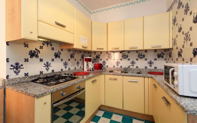 Bouganville 9878