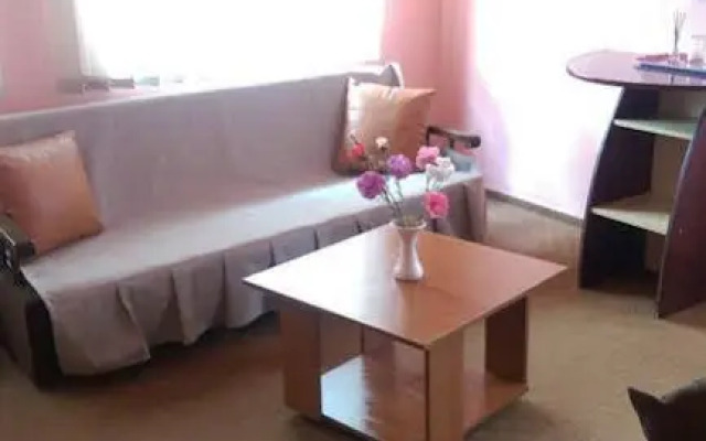 Pensiunea Vila Dana