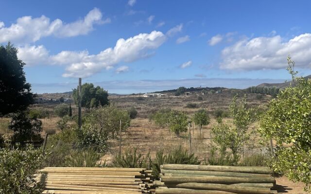 Wine country In Valle de Guadalupe