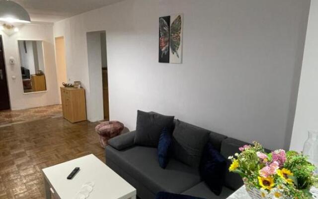 Breaza Central Apartment