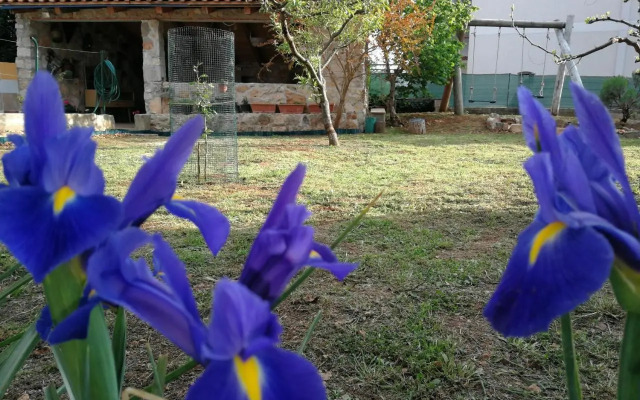 Apartments Gorka