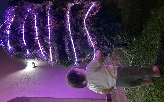 Cabañas Ayres de Mar