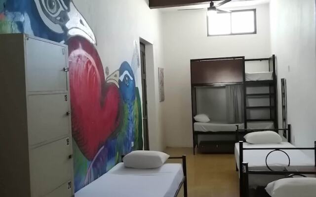 Siesta Fiesta Hostel
