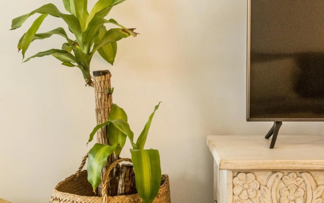 The Clover House - Tavira