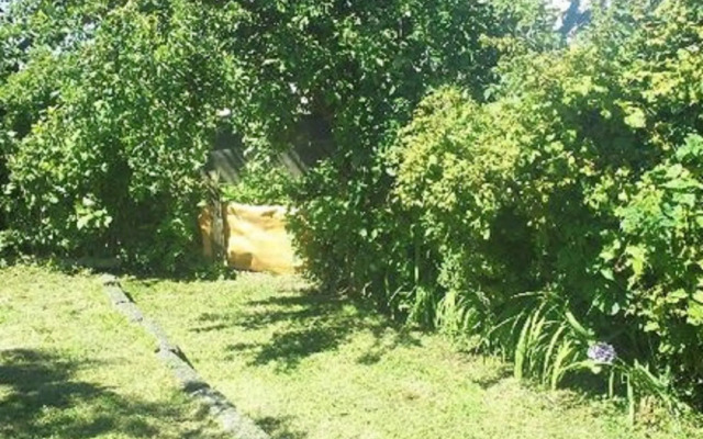 Casa Perla - Hostel