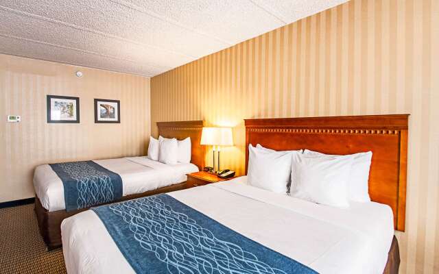 Comfort Inn Falls Church - Tysons Corner