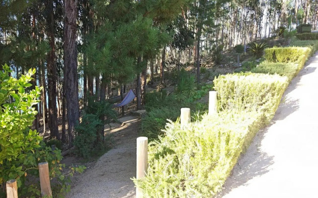 Quinta da Martinela Ferreira Do Zêzere
