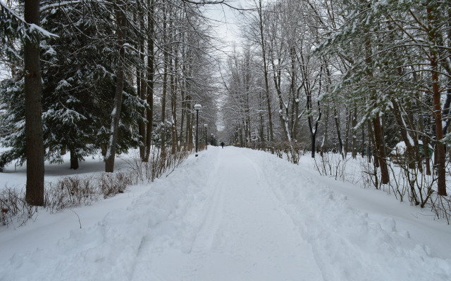 Egnyshevka
