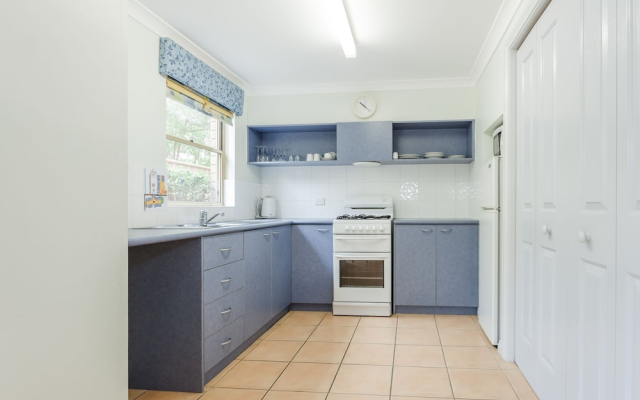 Banksia at Middleton