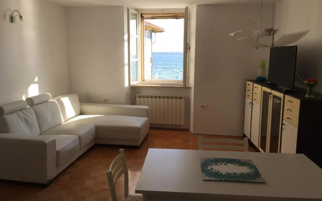 Allure Apartments