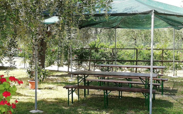 Valle Degli Ulivi