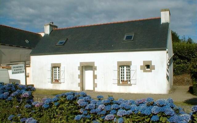 Ti gwenn