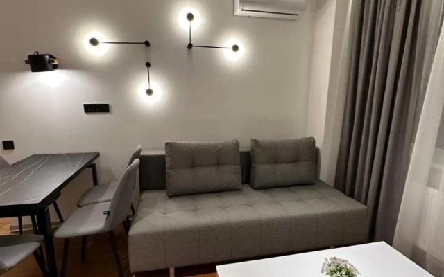 Апартаменти стилізовані на вулиці Під Голоском 15б 108 1