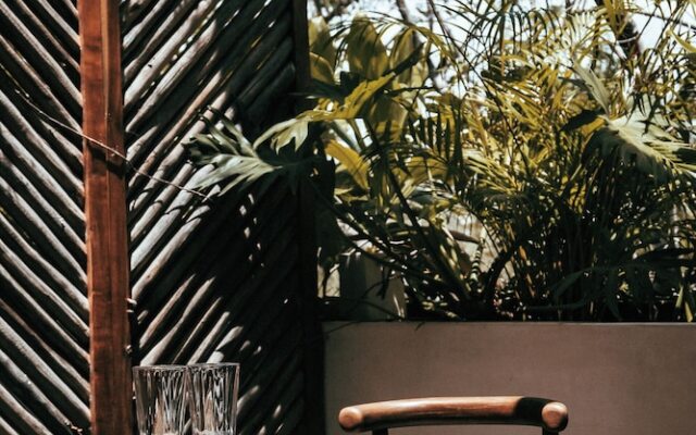 Penthouse Premium Luum Zama Tulum