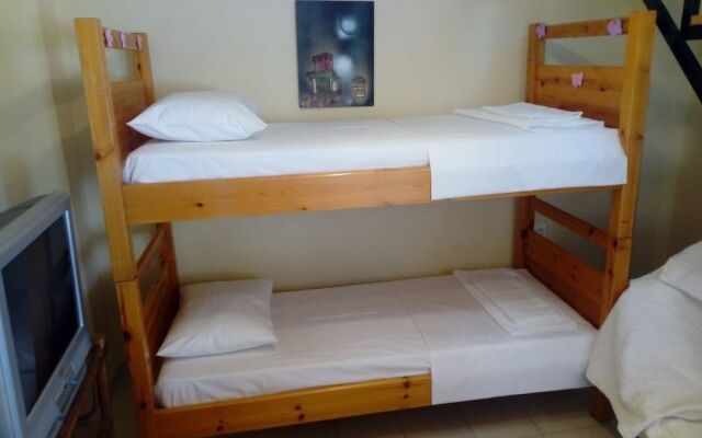 Garden Of Olive Trees