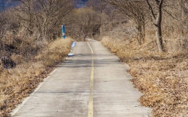 Chuncheon Nami Island N Pension