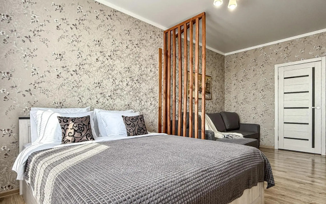 Apartments Monaco 24 on Vladimirskaya st. 55B