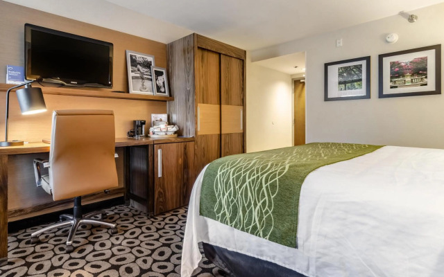 Comfort Inn Raleigh Midtown