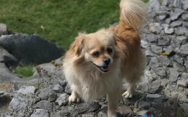 Xingyi Yunqi No.1 Inn (Xia Nahui Branch, Wanfenglin Scenic Area)