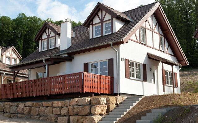 Luxury Villa with Fireplace near Reservoir in Nordeifel