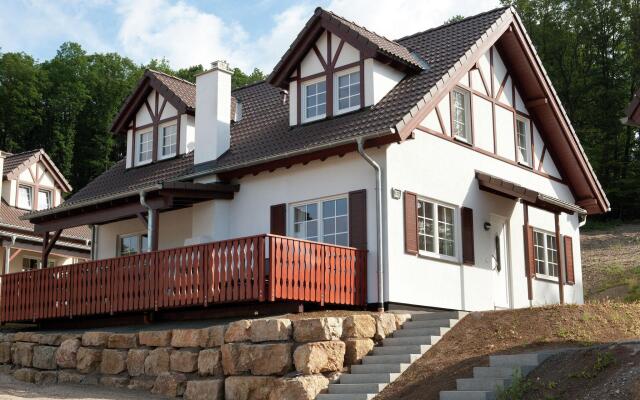 Luxury villa with fireplace near a reservoir in Nordeifel