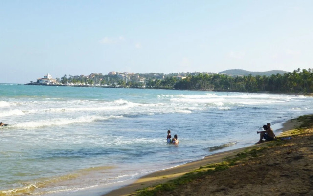 La Palmita