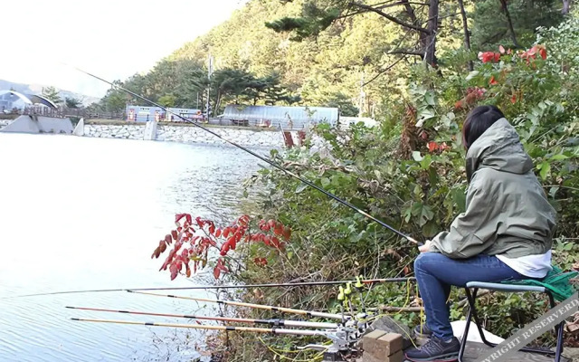 Yangpyeong Dotorigol Pension